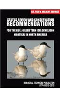 Status Review and Conservation Recommendations for the Gull-billed Tern (Gelochelidon nilotica) in North America: (English)