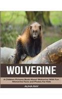 Wolverine