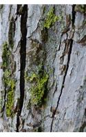 Tree Bark Nature Journal