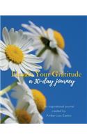 Elevate Your Gratitude