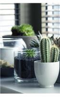 Cool Succulents on a Windowsill Houseplants Journal