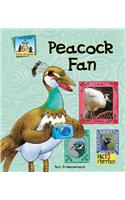Peacock Fan