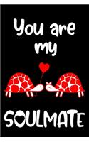 You are my Soulmate