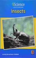 Insects