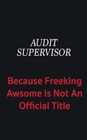 Audit Supervisor because freeking awsome is not an official title