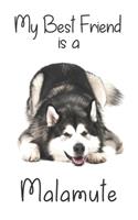 My best Friend is a Malamute