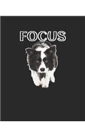 Focus