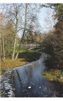 Beautiful Stream and Trees in Latvia Nature Journal: 150 page lined notebook/diary