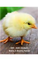2019 - 2020 18 Month Weekly & Monthly Planner: July 2019 to December 2020 Calendar in Review/Monthly Calendar with U.S./Uk/ Canadian/Christian/Jewish/Muslim Holidays-Notes 8 X 10 In.-Yellow Chick