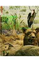 Designer Profile 2010/2011, Volume 02: Germany, Austria, Switzerland; Graphic Design Corporate Design & Multimedia Design