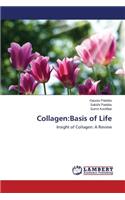 Collagen