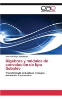 Álgebras y módulos de convolución de tipo Sobolev