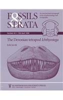 The Devonian Tetrapod Ichthyostega: (Fossils and Strata Monograph Series)