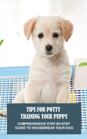 Tips For Potty Training Your Puppy
