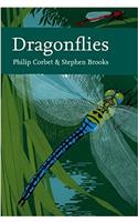 Dragonflies