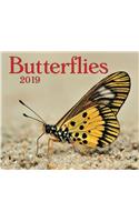 Butterflies 2019