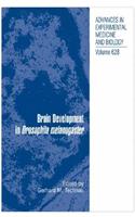 Brain Development in Drosophila Melanogaster