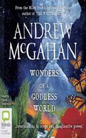 Wonders of a Godless World