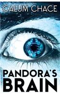 Pandora's Brain