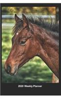 Plan On It 2020 Weekly Calendar Planner - I Love Horses