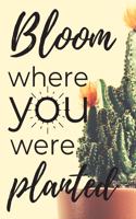 Bloom Where You Were Planted