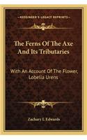 The Ferns of the Axe and Its Tributaries