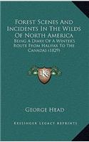 Forest Scenes and Incidents in the Wilds of North America