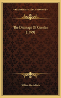 The Drainage Of Cuestas (1899)