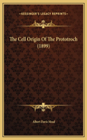 The Cell Origin Of The Prototroch (1899)