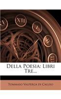 Della Poesia