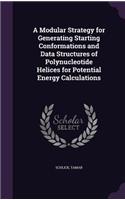 A Modular Strategy for Generating Starting Conformations and Data Structures of Polynucleotide Helices for Potential Energy Calculations