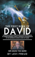 First Book Of David