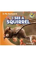 I See a Squirrel: (In My Backyard)