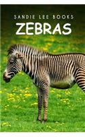 Zebras - Sandie Lee Books