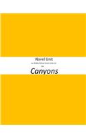 Novel Unit by Middle School Novel Units Inc. for Canyons