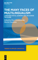 Many Faces of Multilingualism: Language Status, Learning and Use Across Contexts