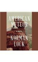 American Meteor Lib/E: Library Edition