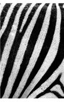Zebra Print