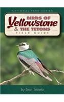 Birds of Yellowstone & Tetons Field Guide
