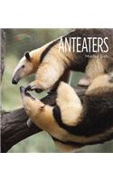 Anteaters