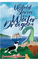 The Untold Stories of a Water Dragon