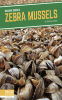 Zebra Mussels