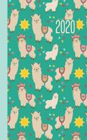 2020 Planner