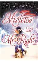 Mistletoe and Mr. Right: Two Stories of Holiday Romance