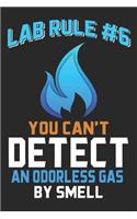 Lab Rule #6