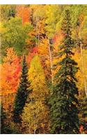 2019 Weekly Planner Fall Foliage Valley Autumn Season 134 Pages: (Notebook, Diary, Blank Book)(2019 Planners Calendars Organizers Datebooks Appointment Books Agendas)