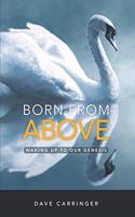 Born from Above