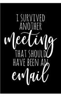 I Survived Another Meeting That Should Have Been An Email: A Funny Office Humor Gag Gift Notebook