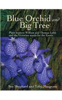 Blue Orchid and Big Tree