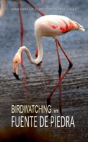 Birdwatching in Fuente de Piedra